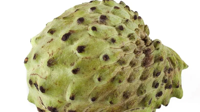 Muda de Atemoia (Annona x atemoya)