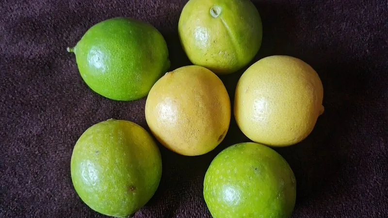 Limao Galeguinho (Citrus × aurantifolia)