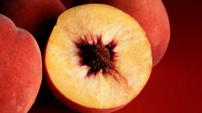 Pessego Anao (Prunus persica)
