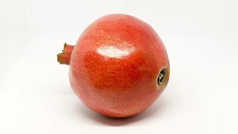 Muda de Roma (Punica granatum)